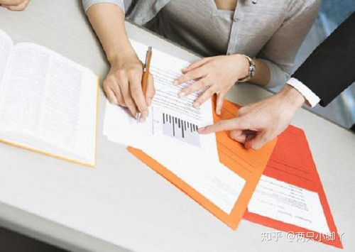 食品商標購買與版權代理費用全解析